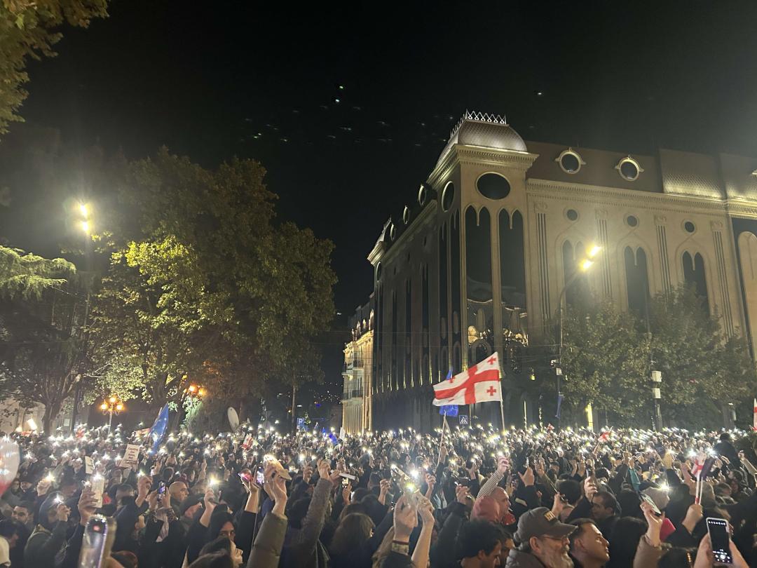 A crowd of protesters in Tbilisi. Photo: Hugh Bohane