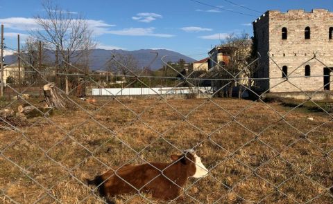 Occupied Lives: Georgians’ Daily Struggles Under Russian Control in Gali