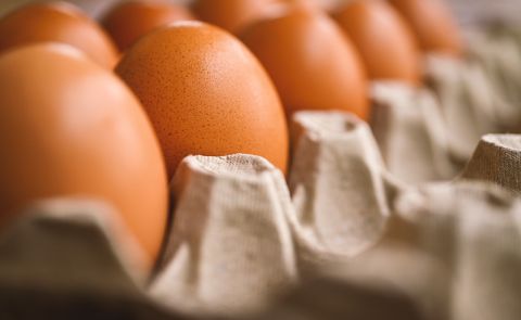 Azerbaijan Begins Exporting Table Eggs to the U.S. Amid Egg Shortage