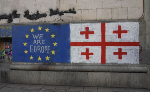 International Officials Criticize Georgian Dream Amid Democratic Concerns