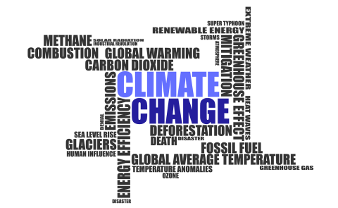 EU and UNDP conduct first ever climate change poll in Georgia