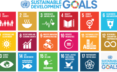 South Caucasus countries in Sustainable Development Report 2021